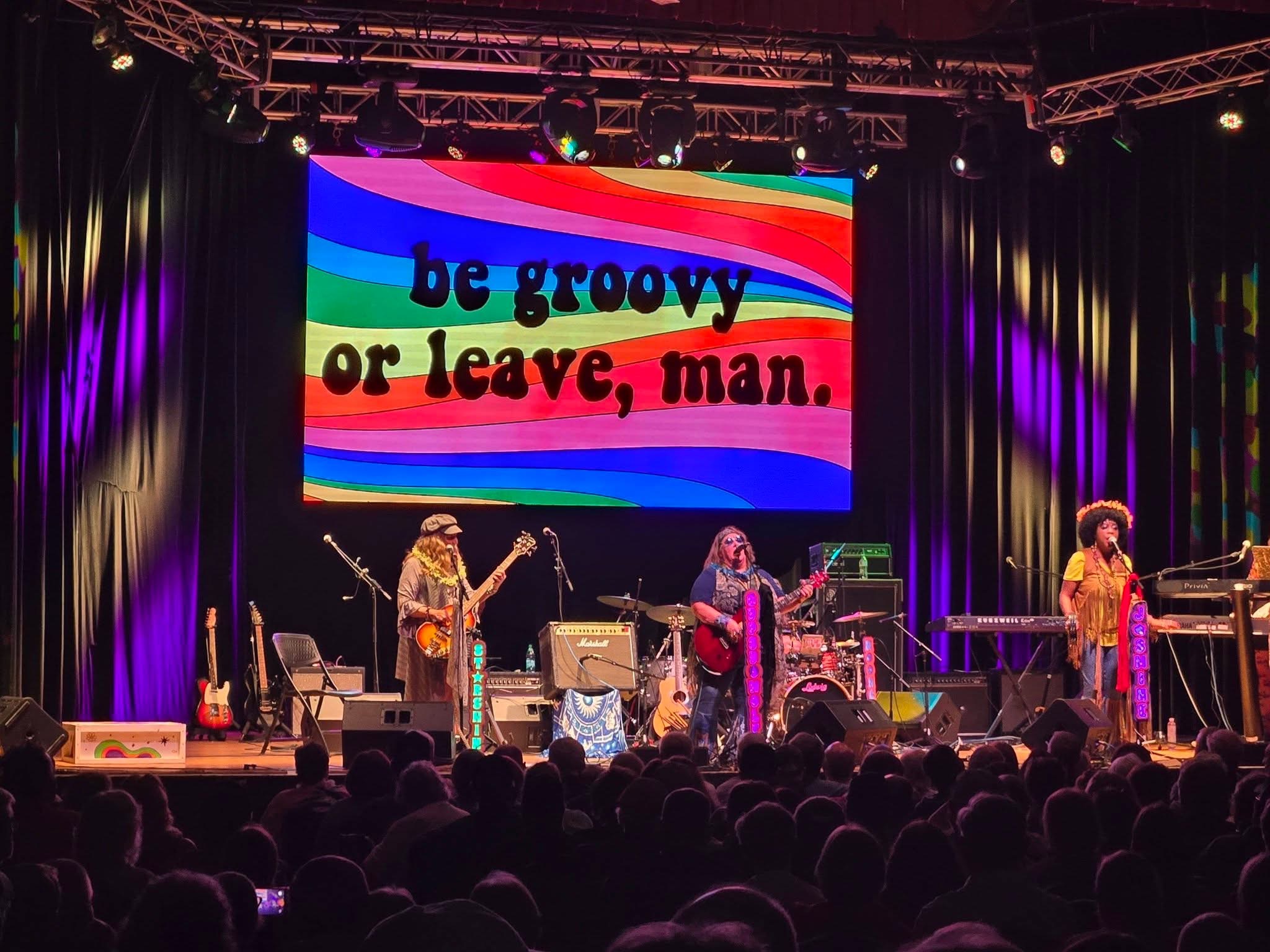 Vintage Vixens in concert